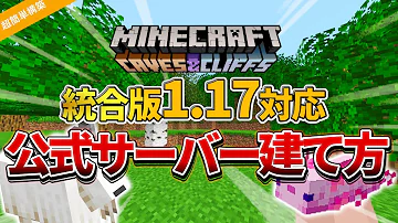 マイクラ 統合版サーバー