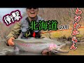 【北海道 釣り】わけわからんモンスター! 奇跡のニジマス釣れちゃった~ Giant Trout fishing ~