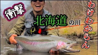 【北海道 釣り】わけわからんモンスター! 奇跡のニジマス釣れちゃった~ Giant Trout fishing ~