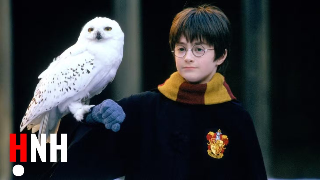 Драма рассказчика аудиокниги «Гарри Поттер» вызывает недоумение у фанатов 🧙‍♂️