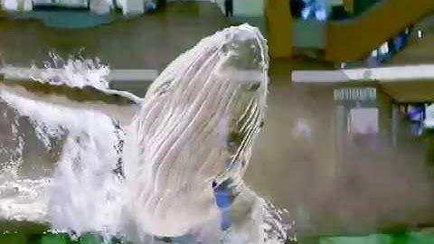 Magic Leap Whale - Mixed Reality Experience