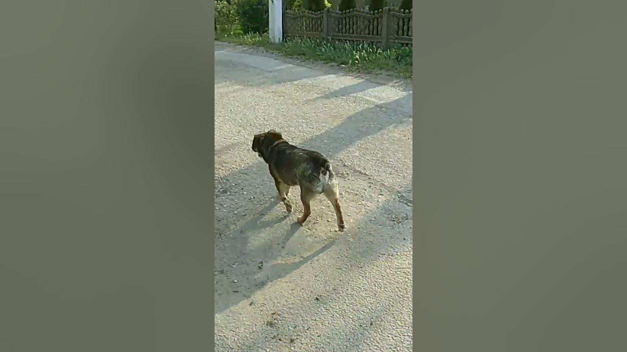 А ты не ошибся? YouTube