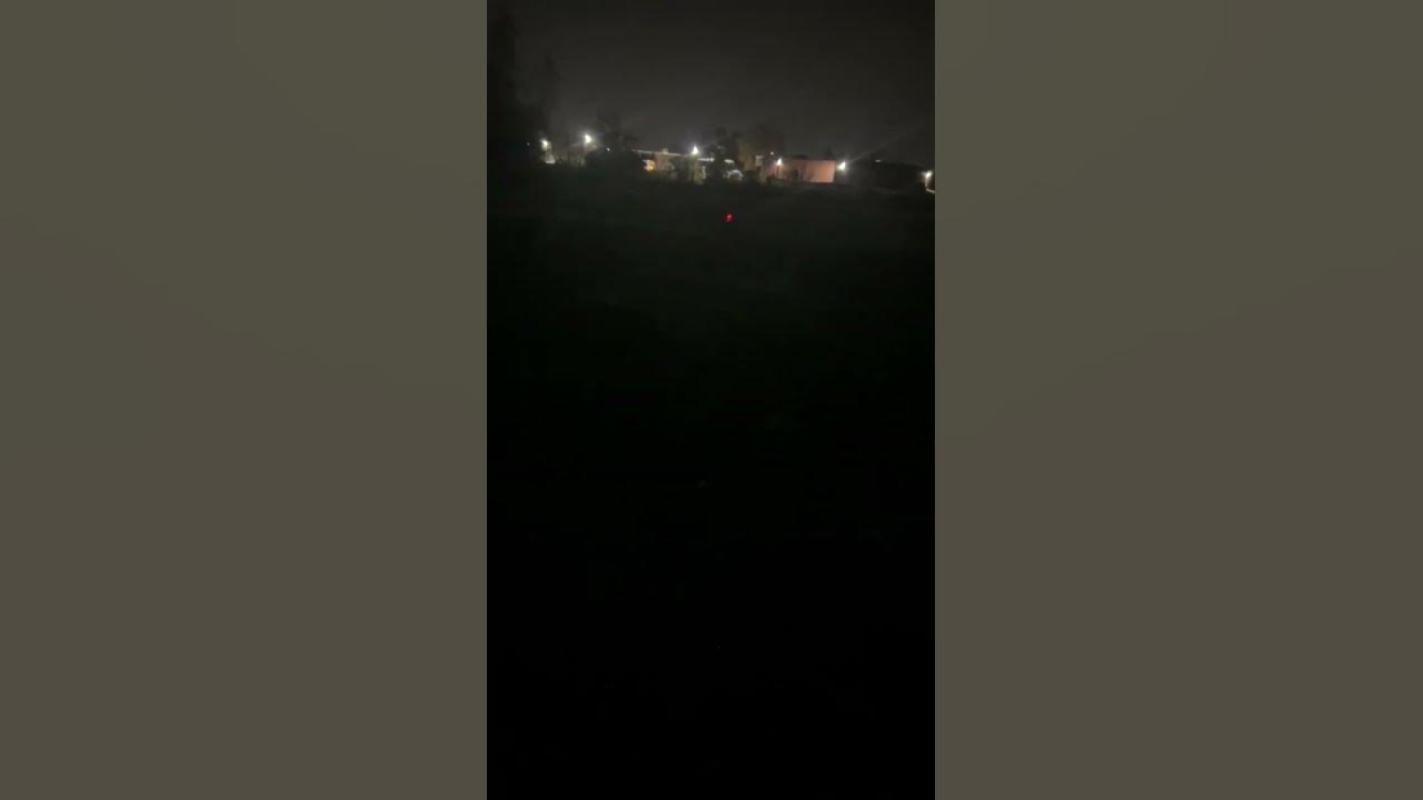 Coyote tracking Chicago - YouTube
