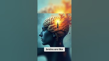 Understanding Bottom-Up vs. Top-Down Processing in Psychology