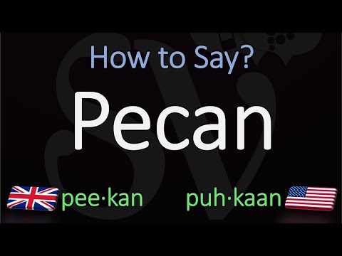 Видео: Пиганыг хэрхэн дууддаг вэ?