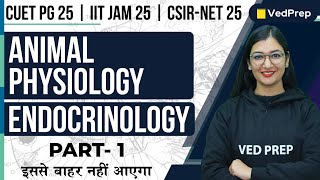 Animal Physiology | Endocrinology | CUET PG | IIT JAM | CSIR NET | Part-1 | VedPrep Biology Academy