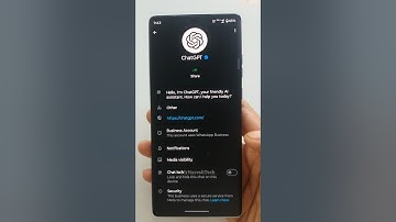 ChatGPT on WhatsApp #shorts #chatgpt #whatsapp