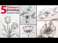 5 flowers drawing with pencil shading step by for beginners  how to draw hibiscus tulips lotus