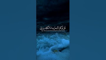 سورة الكهف نور ما بين الجمعتين 🕊️🤍 #quran #islam #muslim #اكسبلور #راحة_نفسية