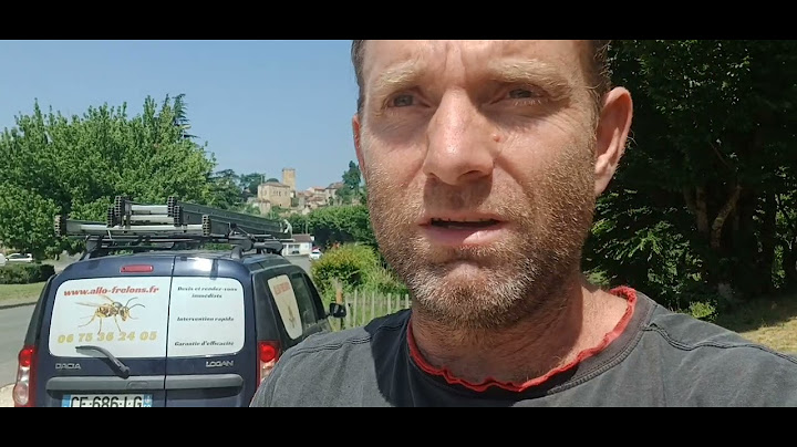 Destruction des nids de guêpes et frelons à Puy l'Eveque, 46. ALLO FRELONS, entreprise locale.