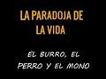 "La Paradoja de la Vida" | El Burro, el Perro y el Mono