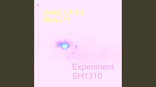 Wake Up To Reality - Experiment SH1310