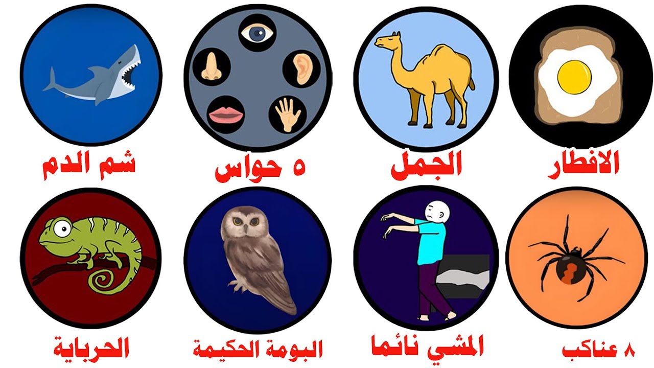 شرح حقائق غلط تمامًا || بس كلنا لسه مصدقينها! 😱