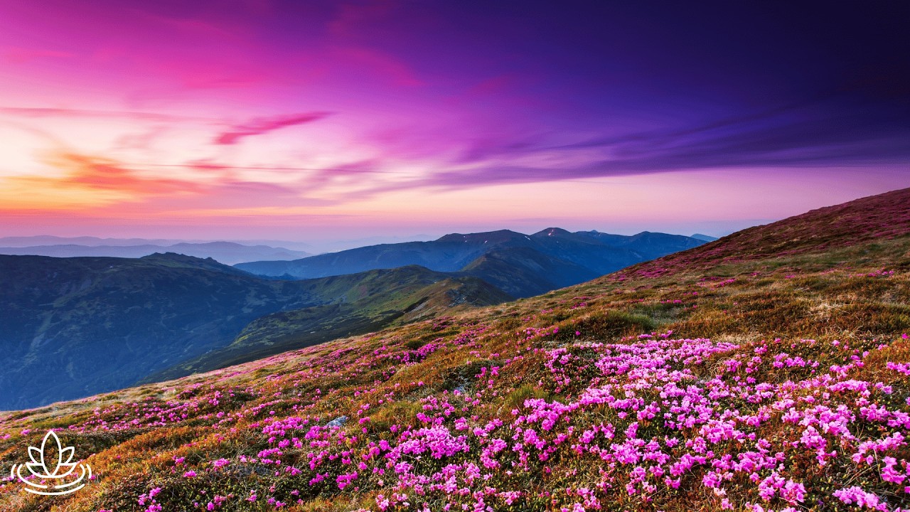Musique relaxante et sons de la nature : relaxation profonde au coucher du soleil 🌿✨