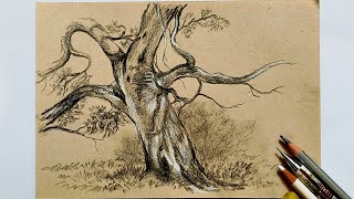  Drawing a dead tree with a black and white pencil