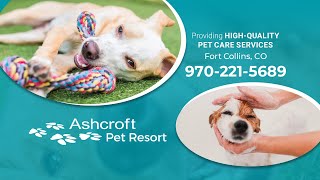 Ashcroft Pet Resort