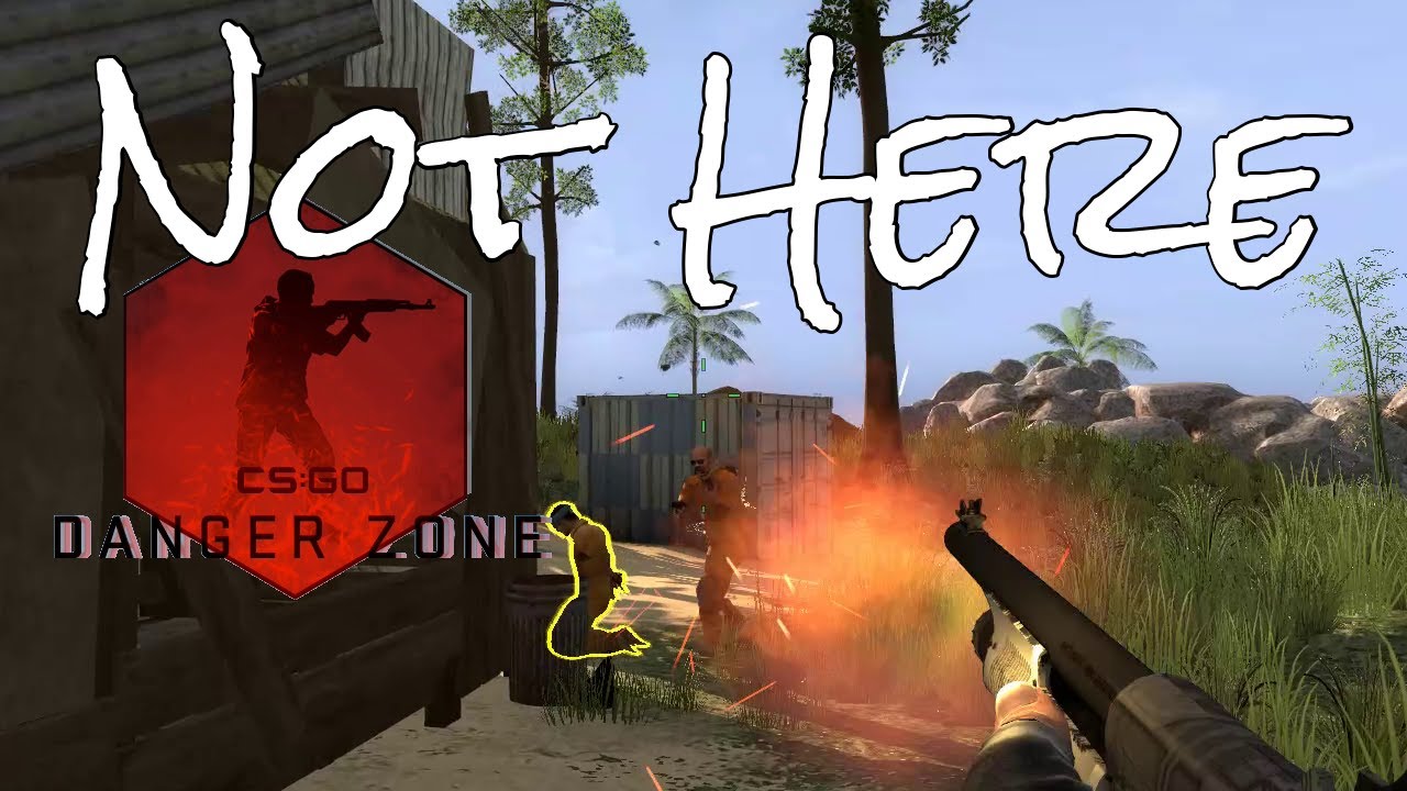 272 CS:GO Danger Zone Jungle dual view gameplay with Jack Bauer - YouTube