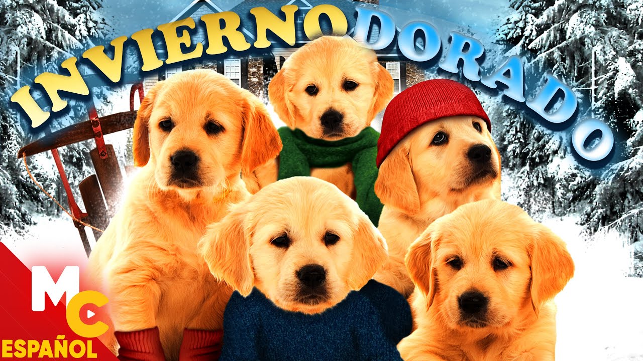 Invierno Dorado | PELÍCULA NAVIDEÑA COMPLETA EN ESPAÑOL PARA NIÑOS