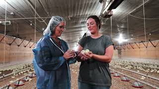 How an Ag Lender Uses a Producers Finances to Evaluate their Financial Position