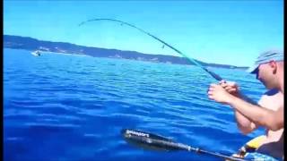 Bonito peleón