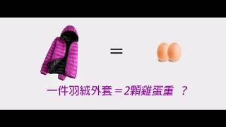 DobbleEgg女修身羽絨外套