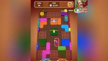 Wood Escape Color Block Level 88