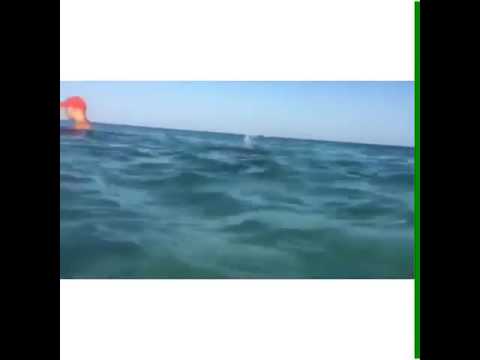 بنات تونس 19