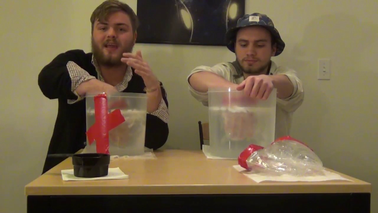 Blubber How does it Science? YouTube