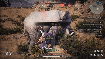 Bless Unleashed | Elephant Taming