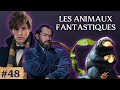 48. Les films Fantastic Beasts/Animaux fantastiques