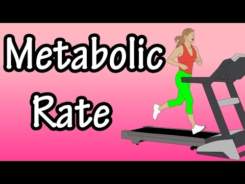 Metabolic Rate - What Is Metabolic Rate - Basal Metabolic Rate - How Many Calories Burned In A Day