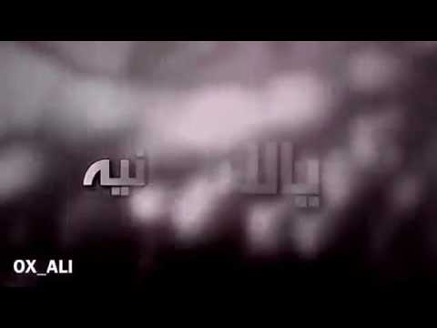 أنتي الي ربيتي الريش مسرعه