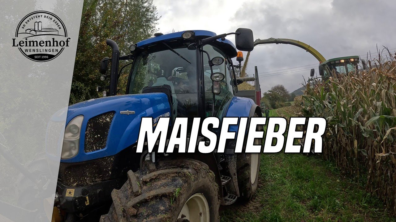 Unglaublich wie schnell das geht! - So entsteht dein Essen 