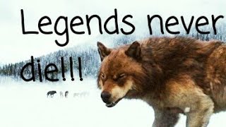 Twilight wolves ~ Legends never die