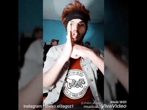 دراكولا سادات العالمي 