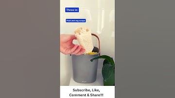 Beginners Guide to Composting