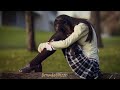 اجمل نغمة رنين تركي