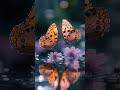 #видеооткрытка #shortvideo #смешноевидео #смех #юмор #shorts #бабочка #ютуб #ai #aivideo #втоп #врек