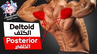 تمارين الكتف الخلفي وابرازه في المنزل  | Rear Delts | Dumbbell