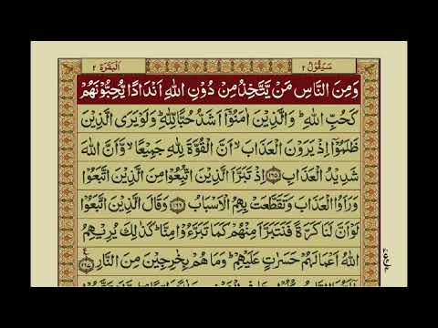 QURAN PARA 2 JUST ONLY Arabic Heat Touching Surah Al BAQARAH Urdu Translation Text In Urdu Hindi 