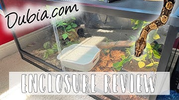 Dubia.com 4x2x2 (120 Gallon) Enclosure Review!