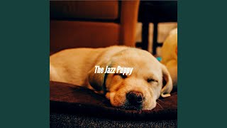 Exquisite Slacking Doggy