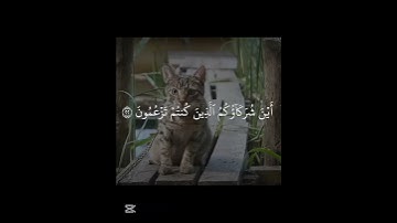 أجر لي ولكم ❤️استخدمو الصوت😌#قرآن#تلاوة_خاشعة#المصحف#اكسبلور❤️😌