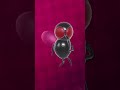 fly dance