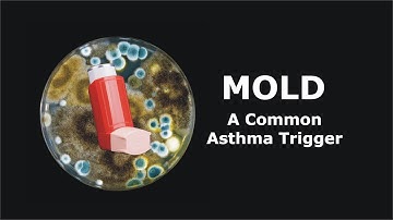 Mold - A Common Asthma Trigger
