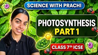 Photosynthesis Class 7th ICSE 