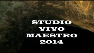STUDIO VIVO MAESTRO- 2014. Четвёртое измерение.