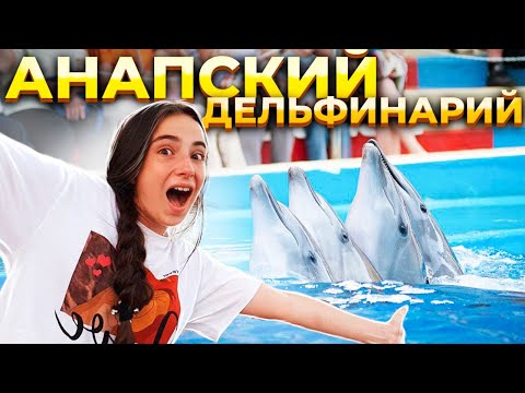 Video: Дельфинарий (Витязево): график, сын-пикирлер
