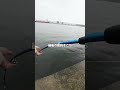 ダイソーの釣具で釣りデビューしたら大変なことに