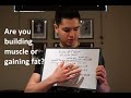 The Scale Went Up: Is it fat or muscle? (Lean bulk 101)